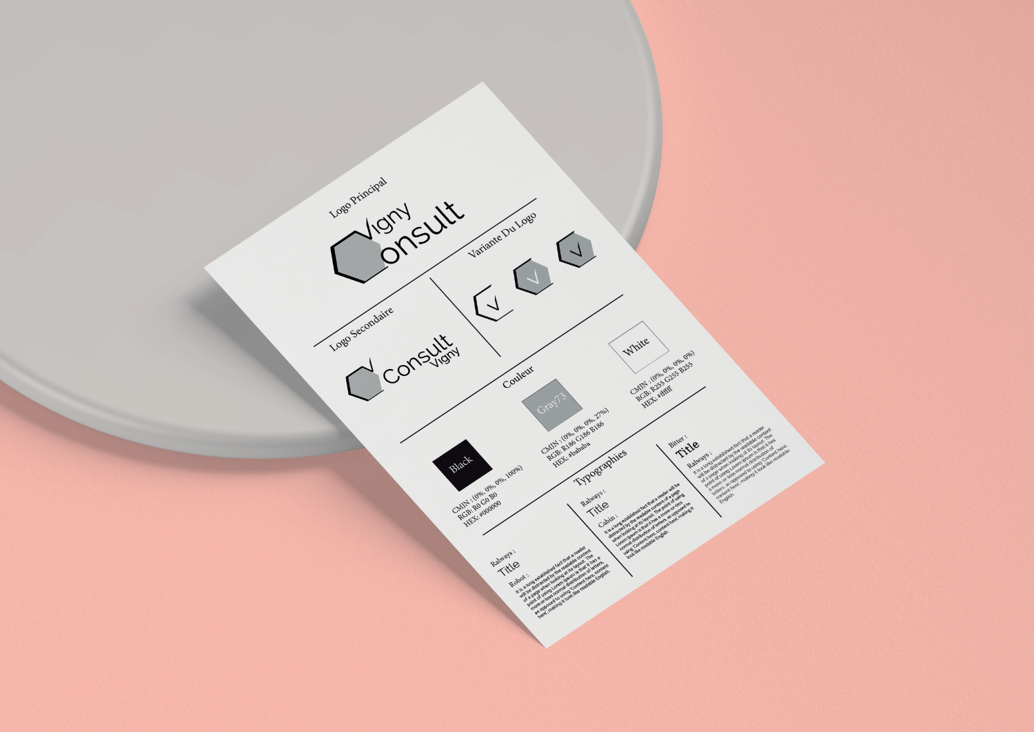 Vigny Consult Kit of part
